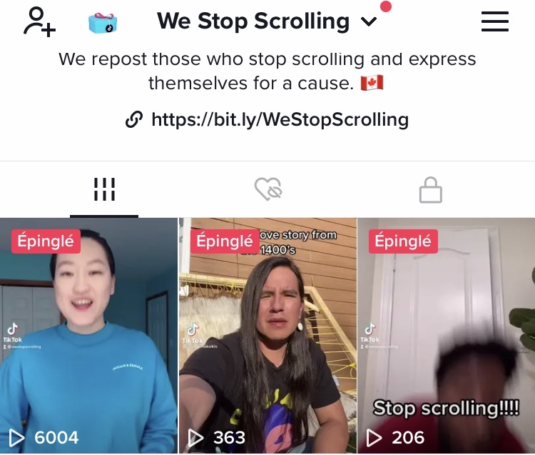 Canadian Youth Activists On TikTok